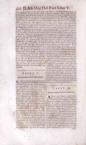 426