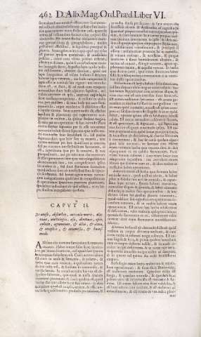 462