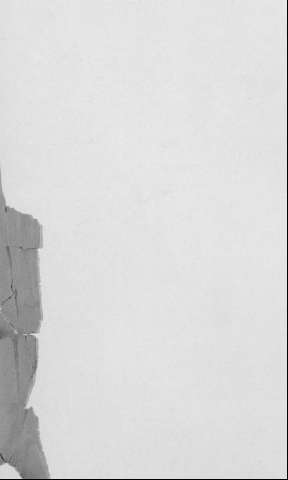 [Guarda]