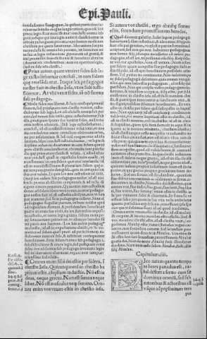 fol. CXXXIIv