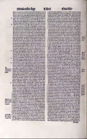 141v