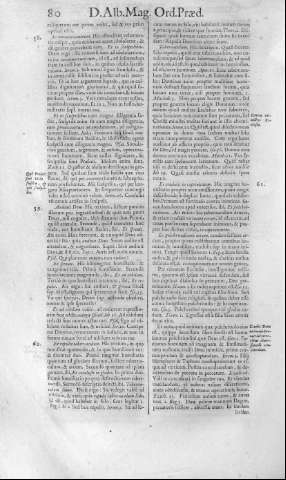 80
