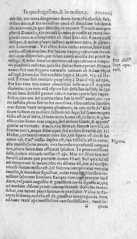 ccxxxiii r