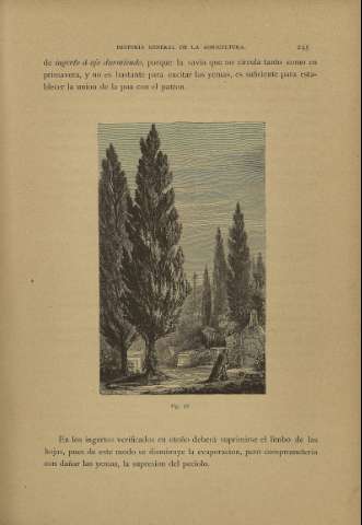 245