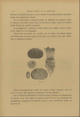 410