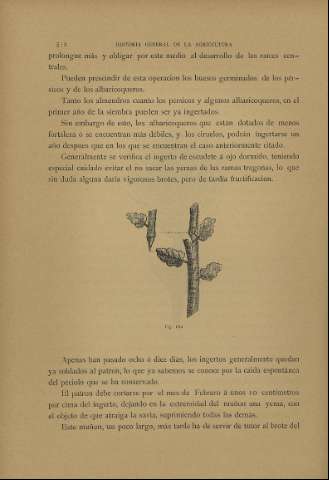 512