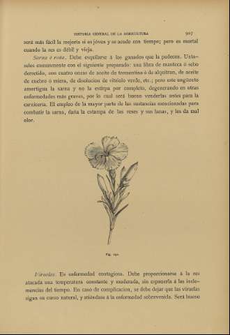 907