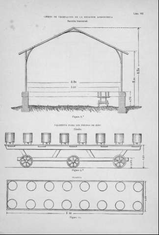 Lám. VII