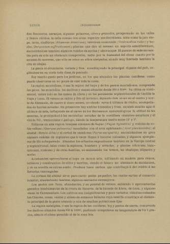 LXXVIII