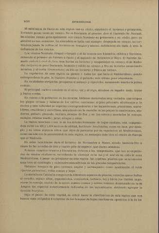 XCVI