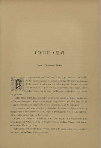 427