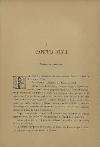 431