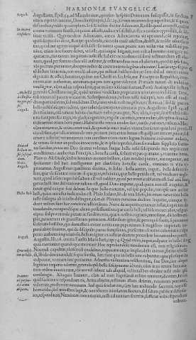 141v