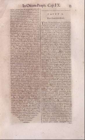 33