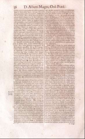 36