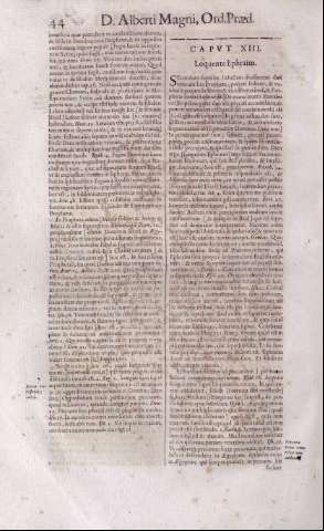 44