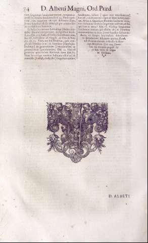 74