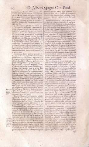 80