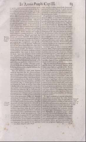 85