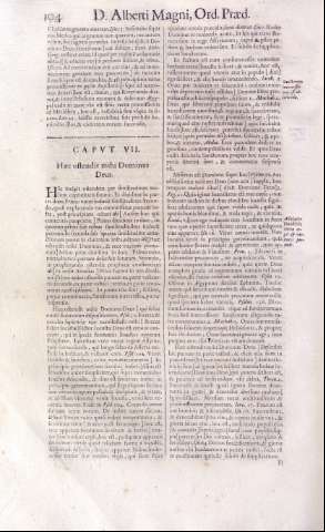 104