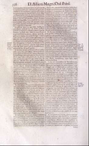 126