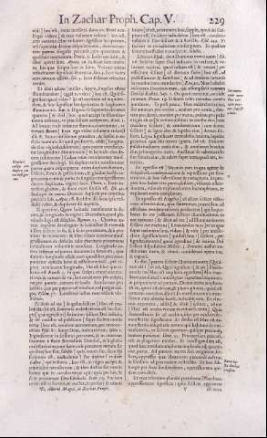 229