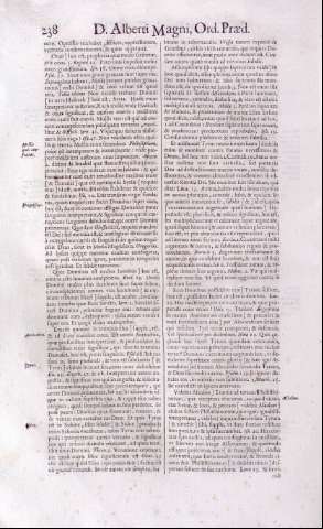 238