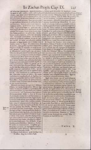 241