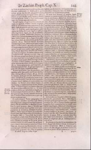 243