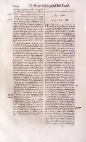 244