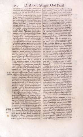 250