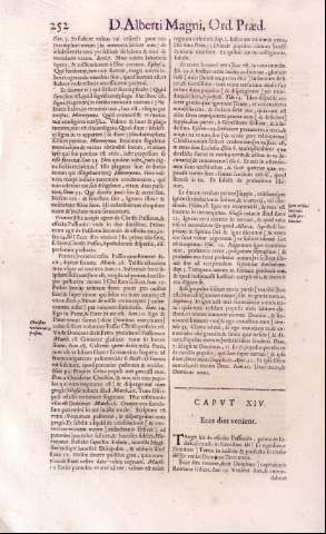 252