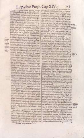 255