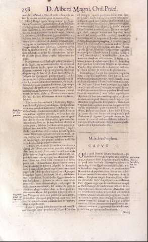 258
