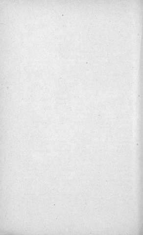 382