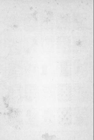 Lam. 4v