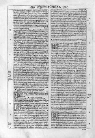 251v