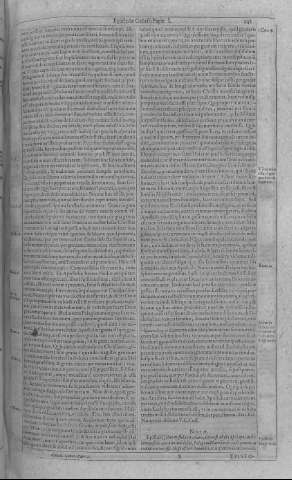 241
