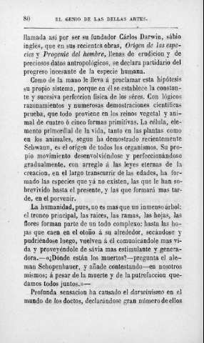 80