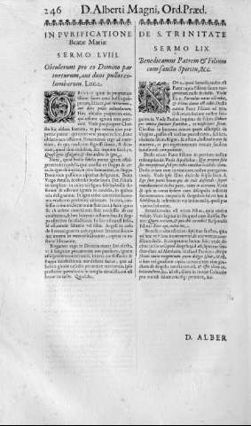 246