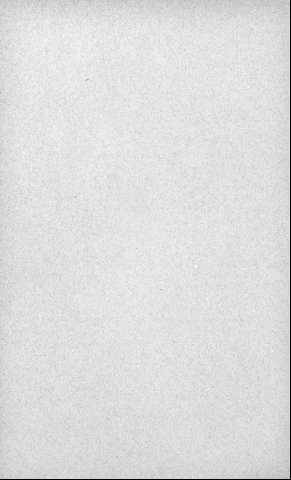 256