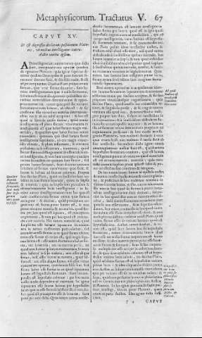 67