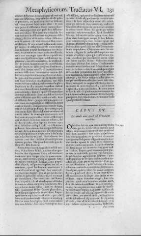 231