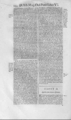 234
