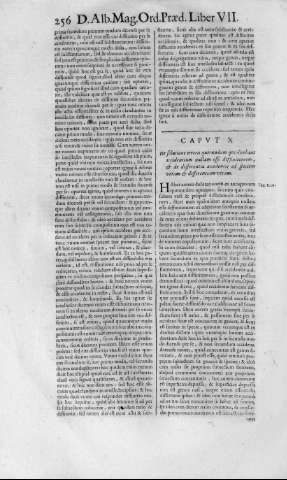 256