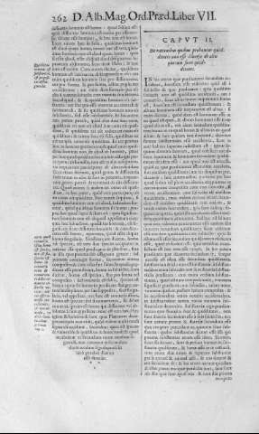 262