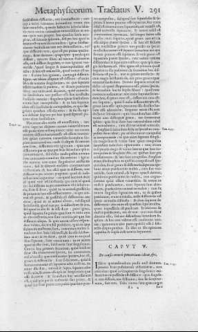 291