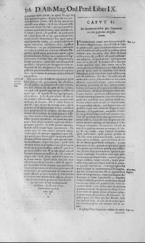 316