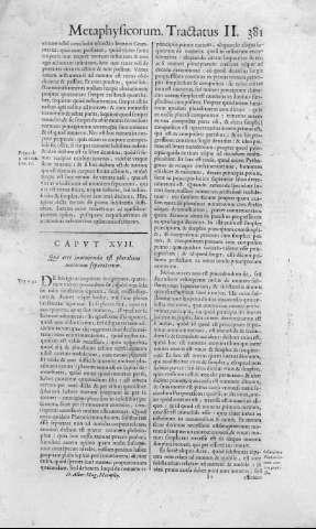 381