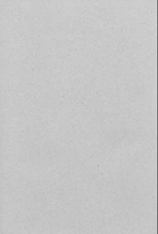 256